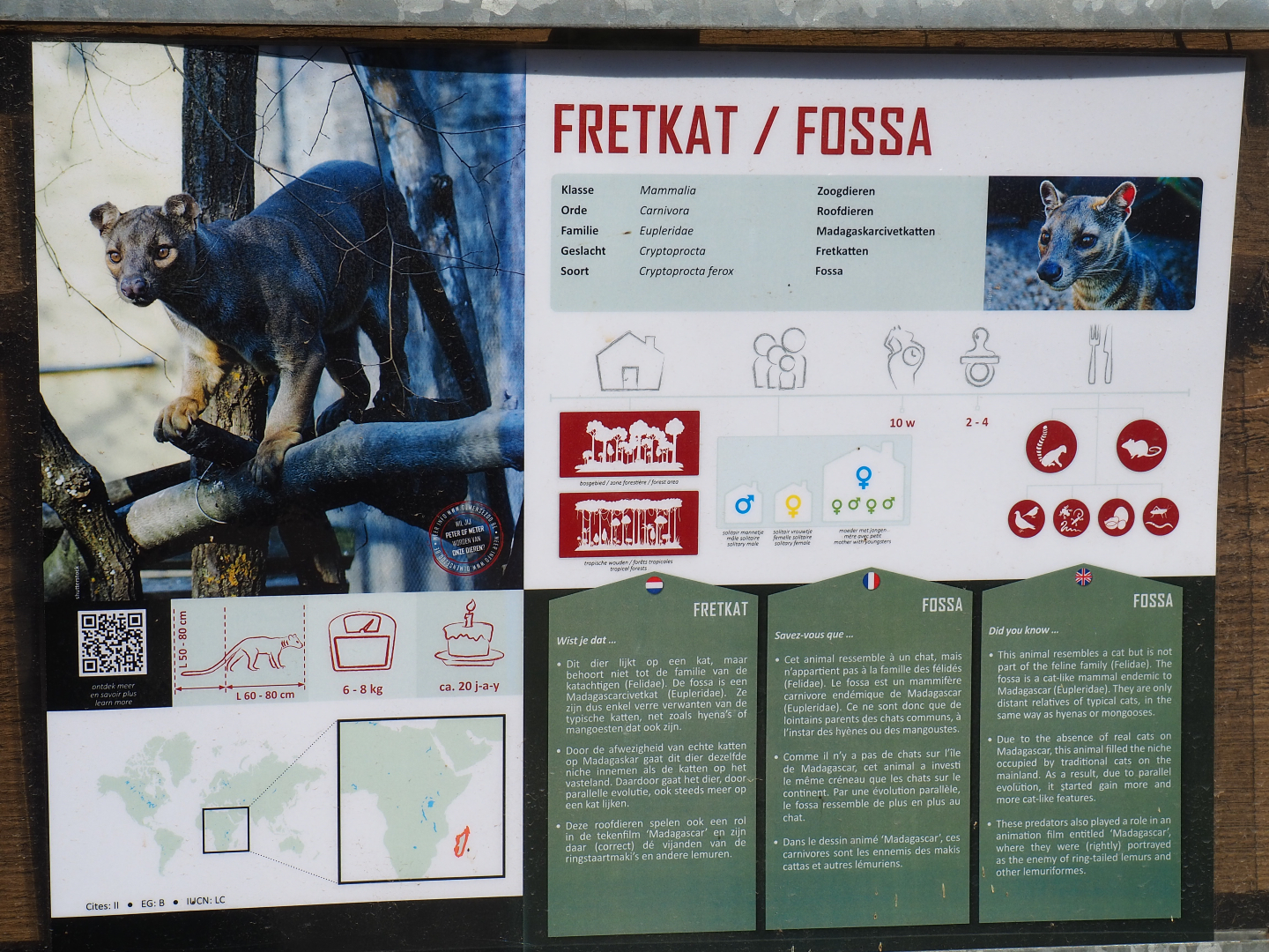 Fossa signage, 2019-08-04