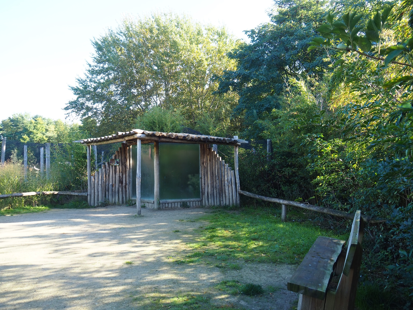 Fossa viewing windows, 2022-10-09
