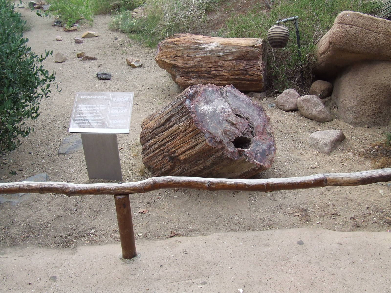 Fossil, Burgers Desert