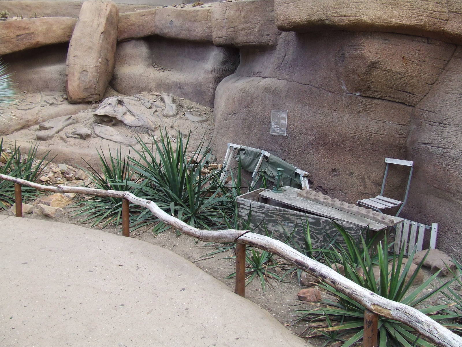 Fossil, Burgers Desert