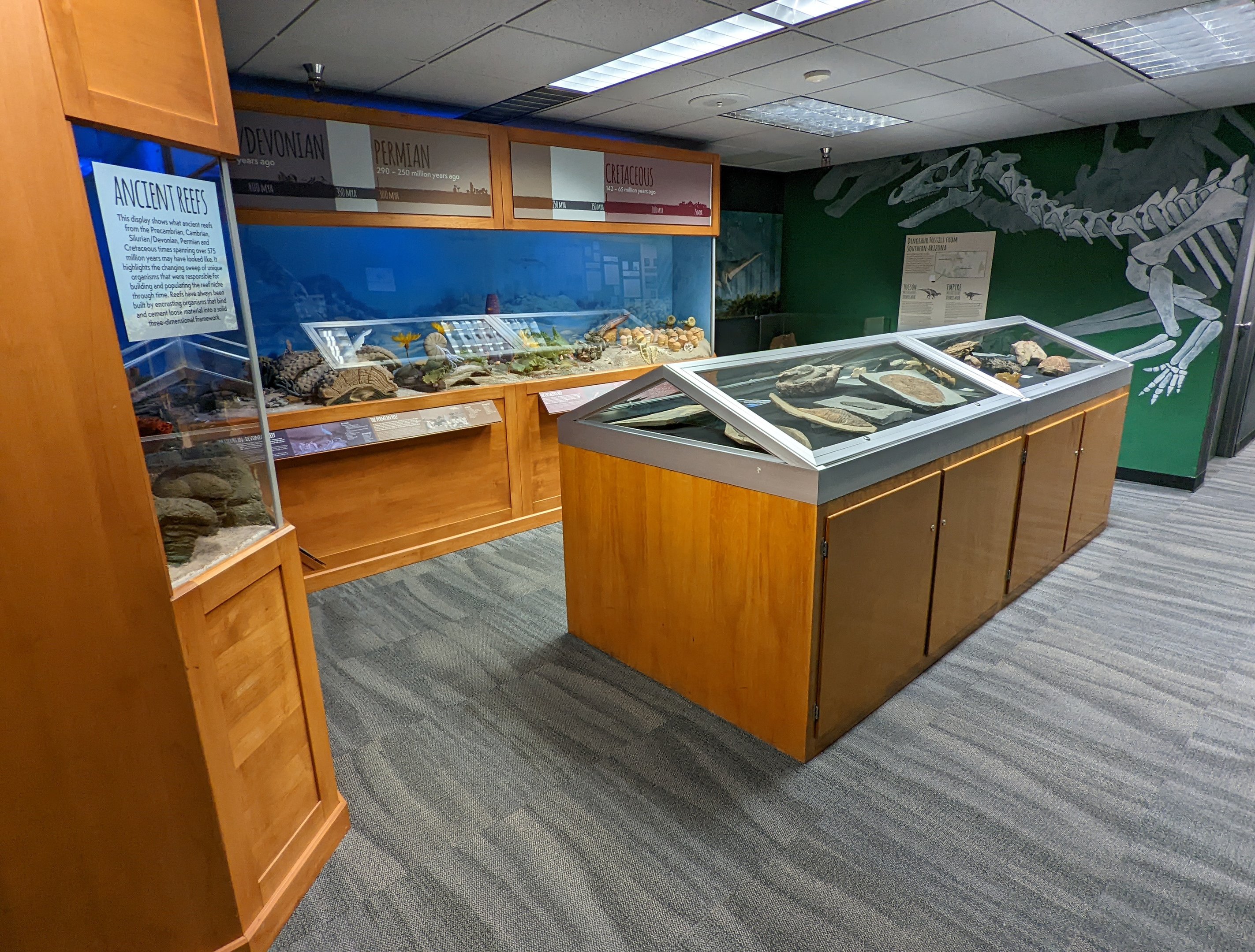 Fossil Display Room