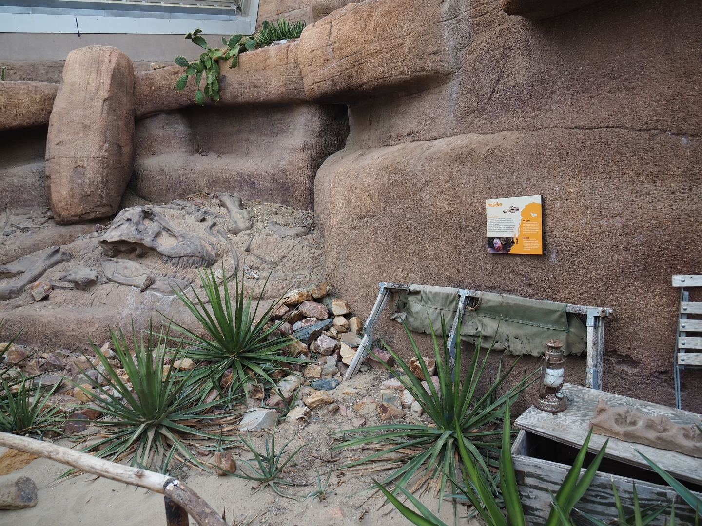 Fossil excavation site (Sep 16th, 2018)