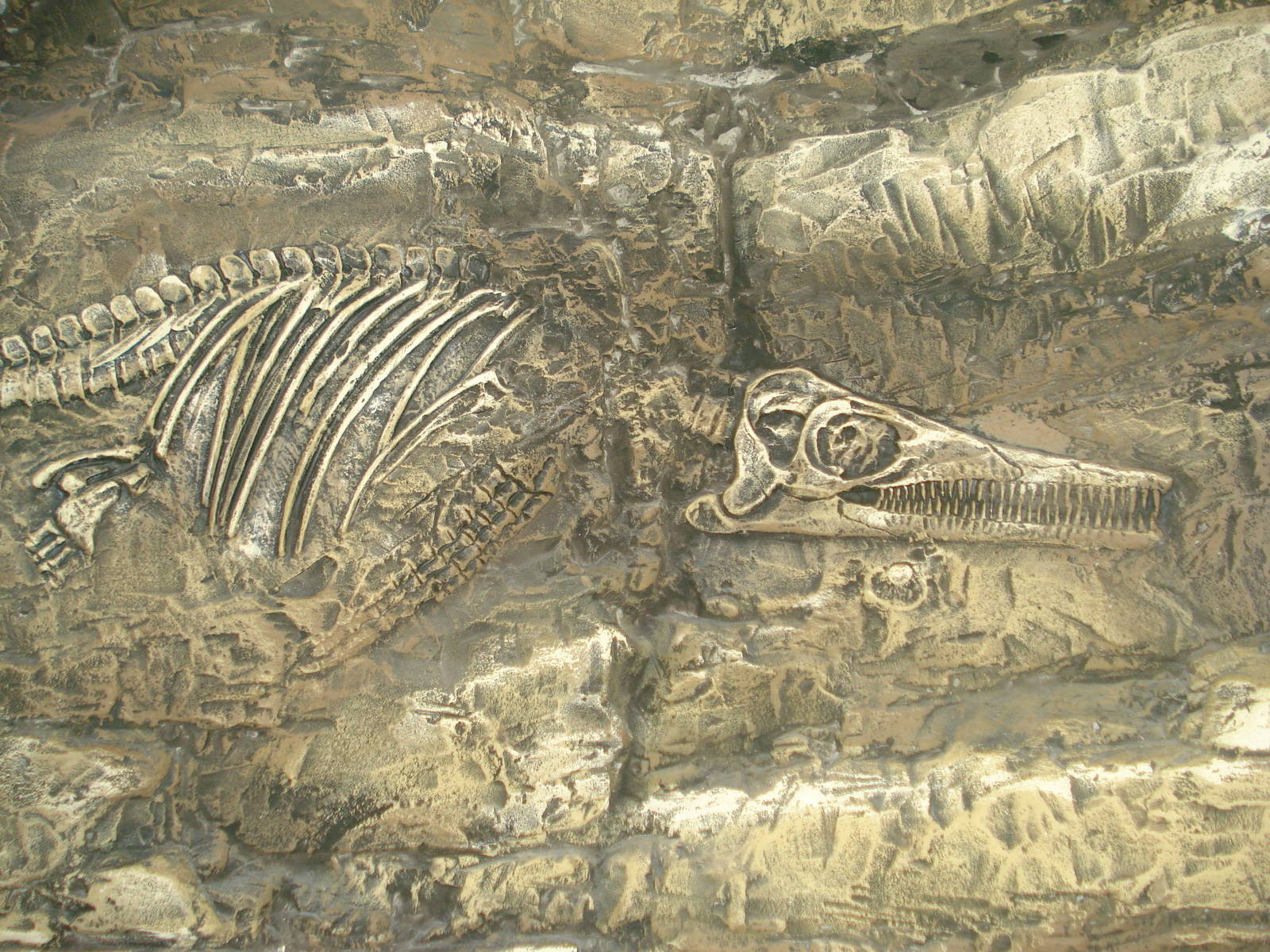 Fossil in the wall, 02/05/2009