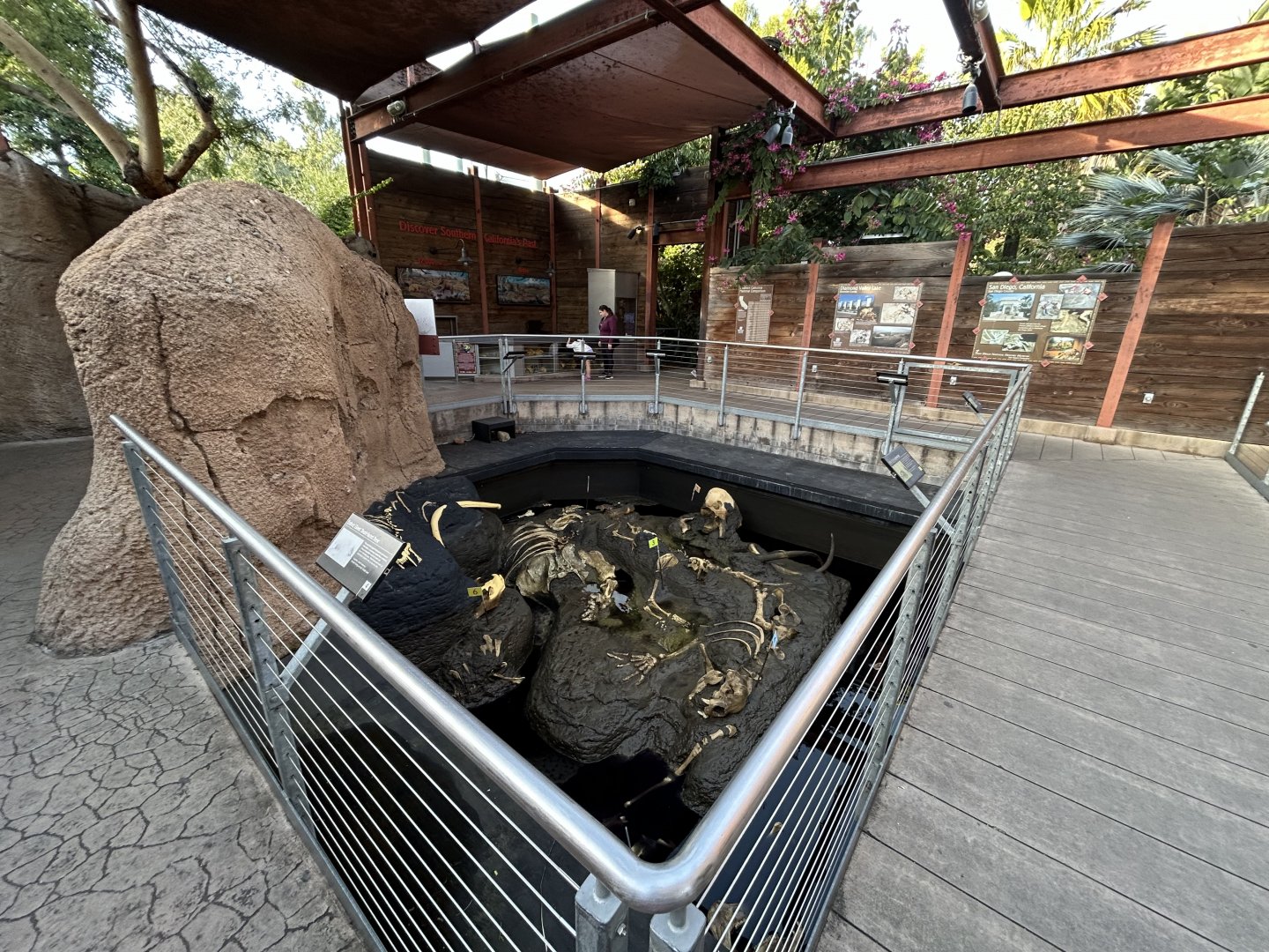 Fossil Portal - Elephant Odyssey