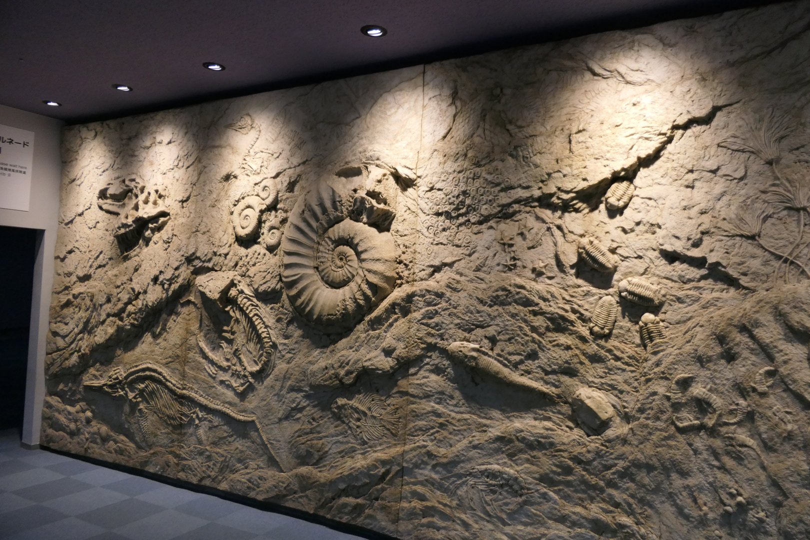 Fossil replicas