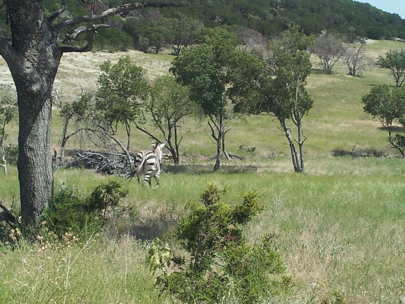 Fossil Rim (July 31st)