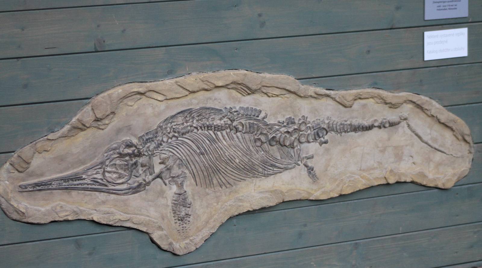 Fossil