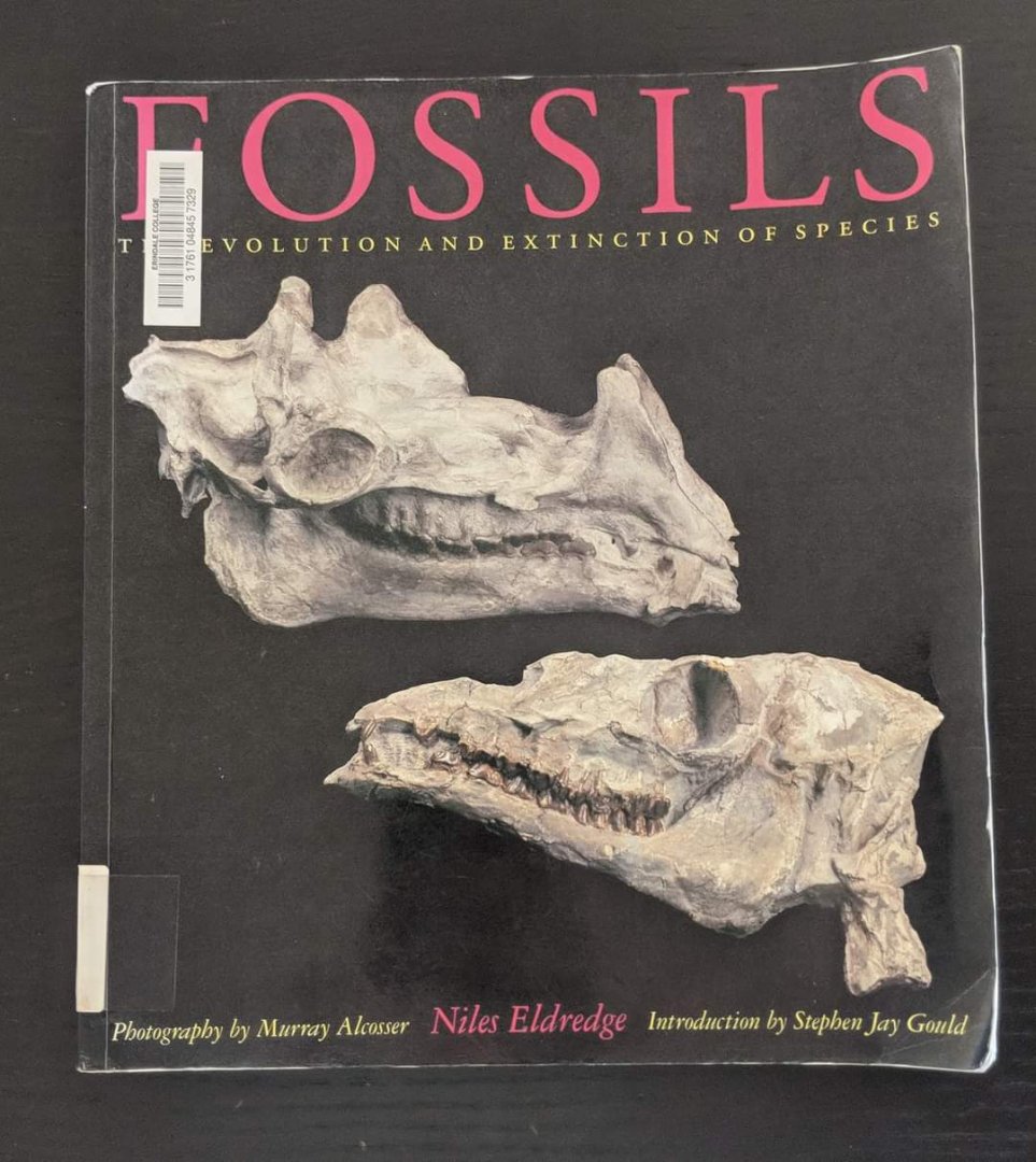 Fossils - The Evolution and Extinction of Species