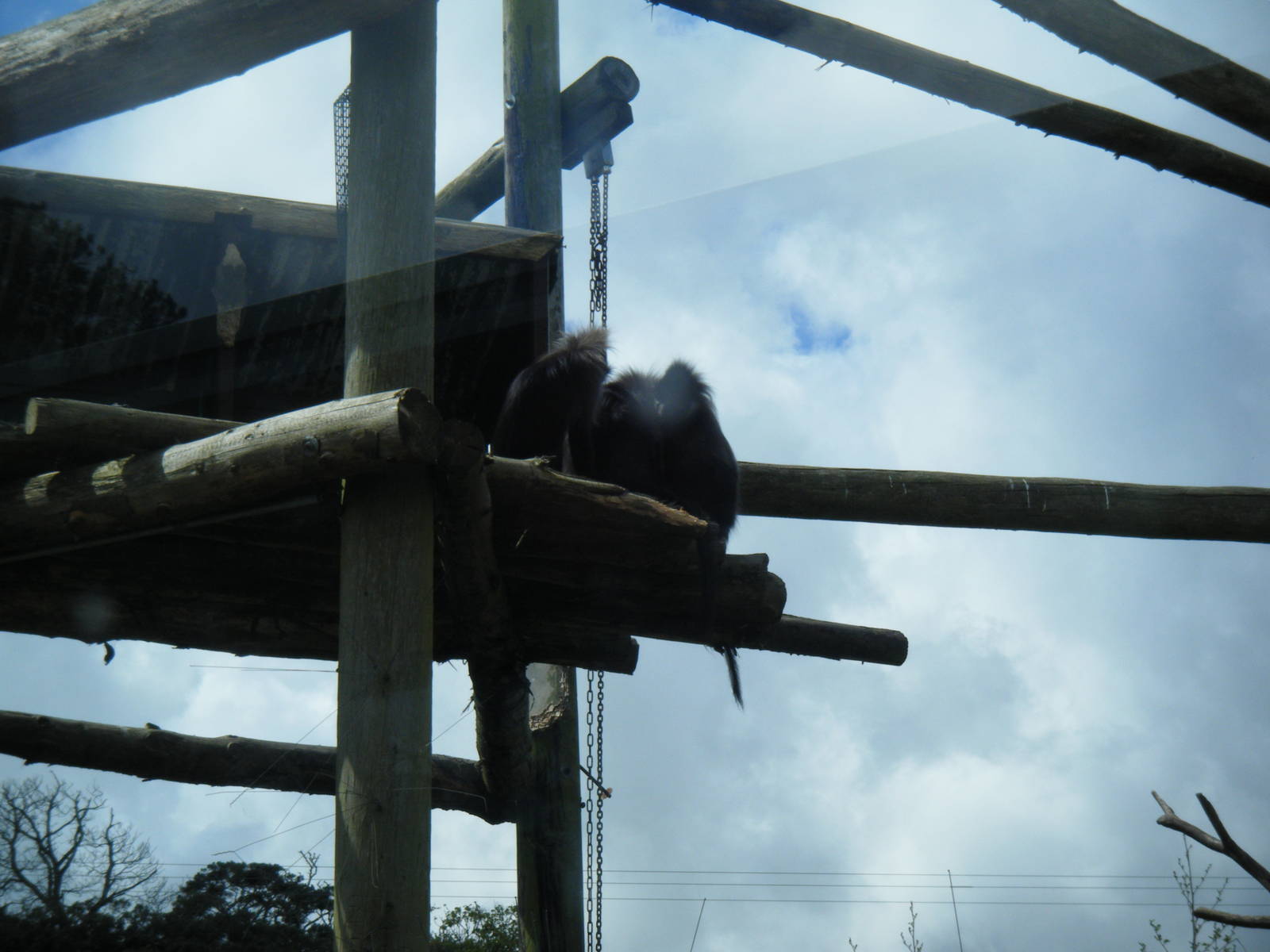Fota Visit April2014