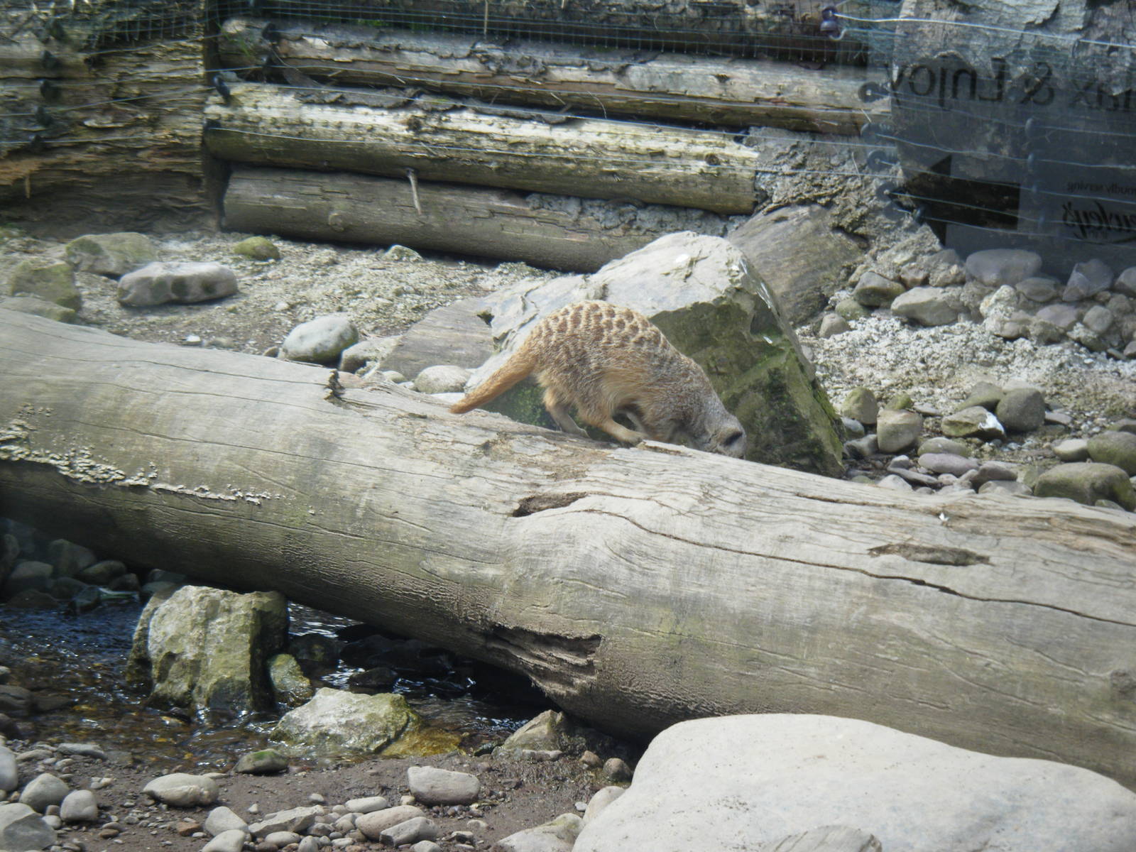 Fota Visit April2014