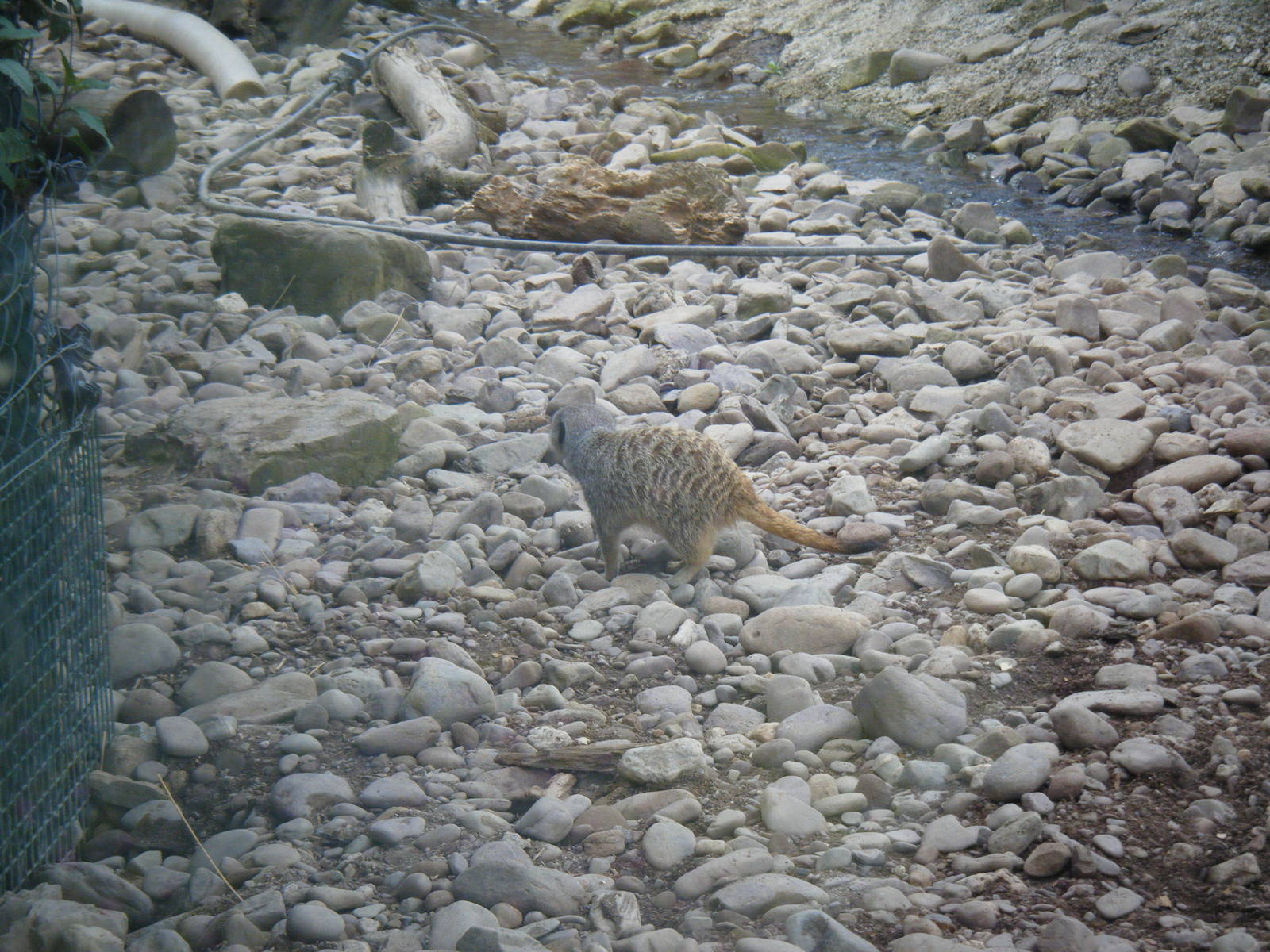 Fota Visit April2014