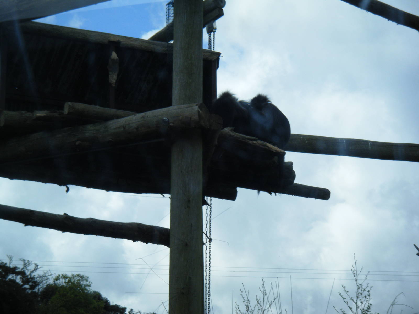Fota Visit April2014