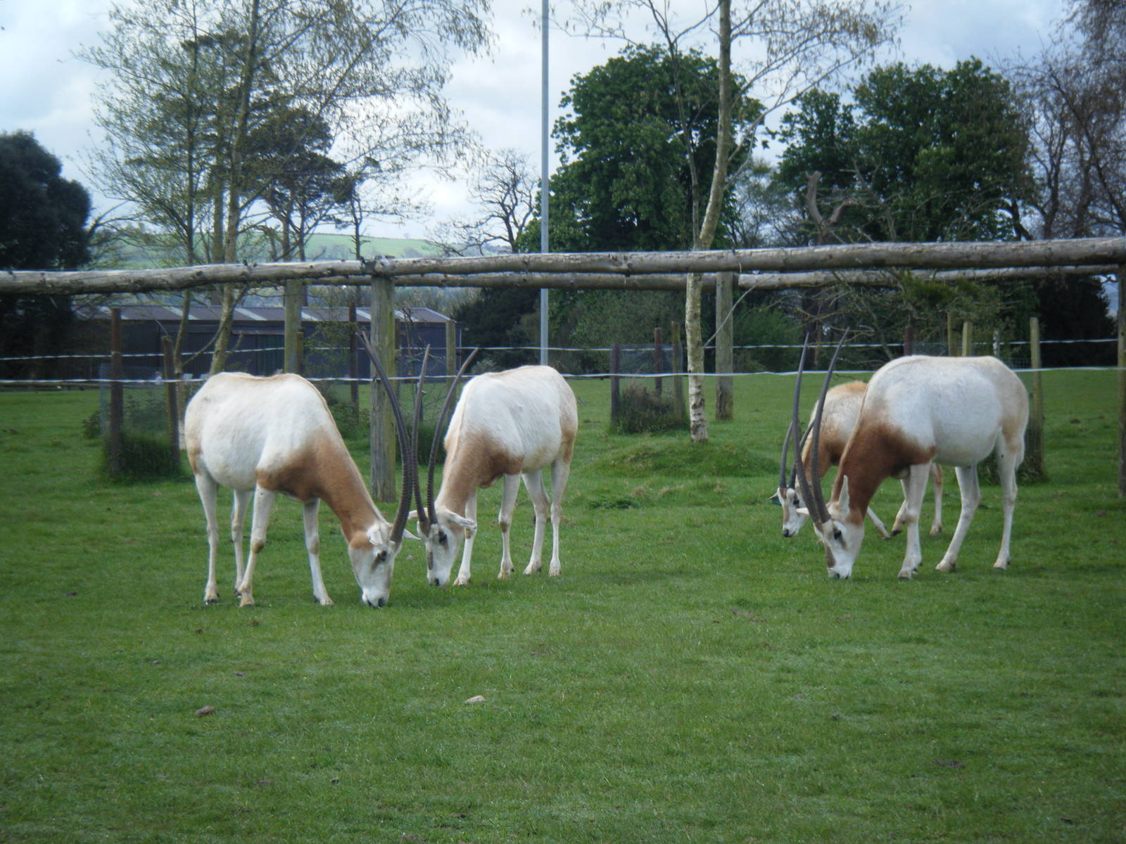 Fota Visit April2014