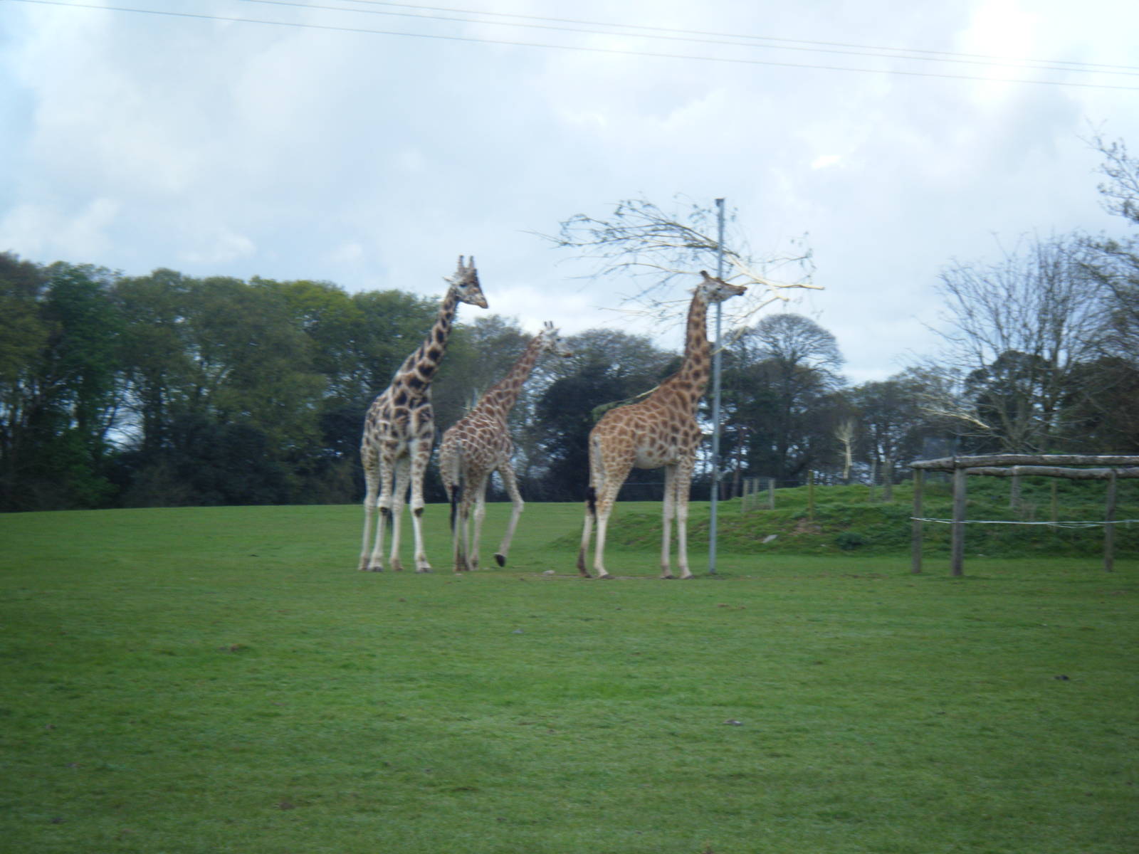 Fota Visit April2014