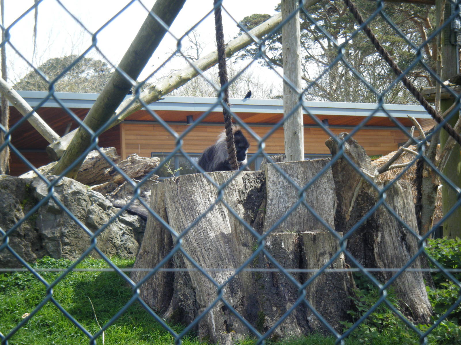 Fota Visit April2014