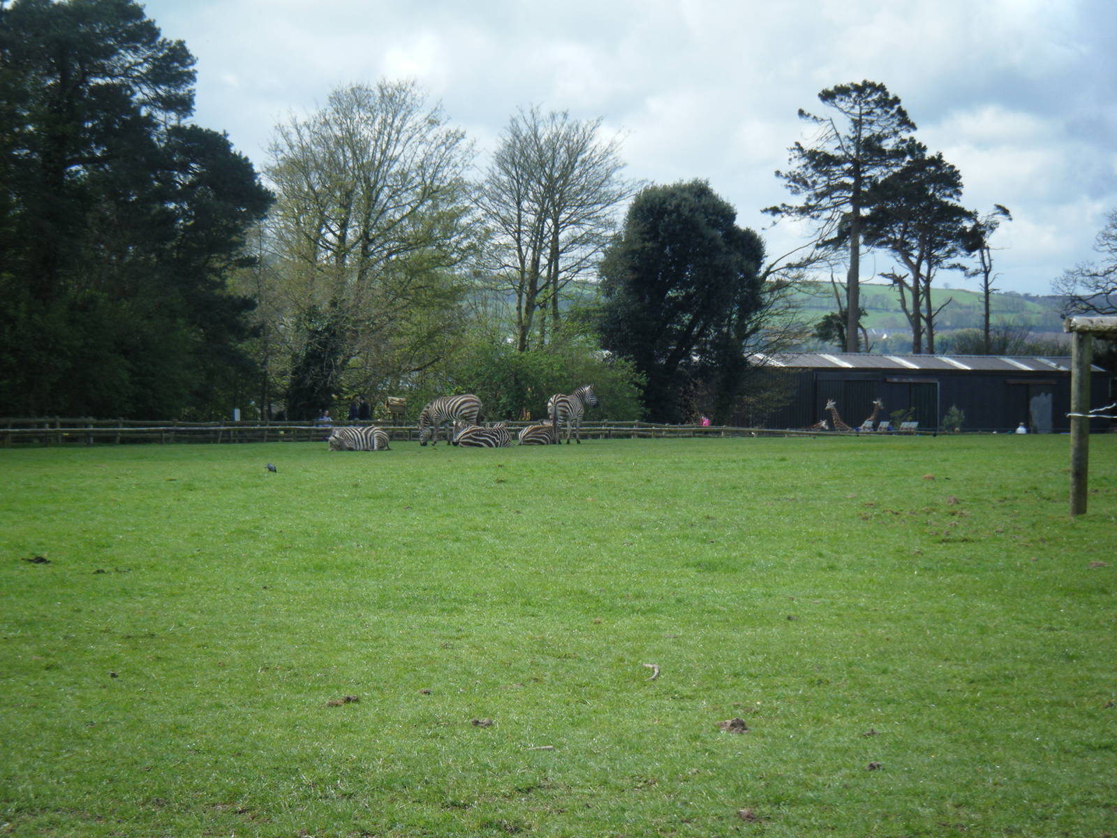 Fota Visit April2014