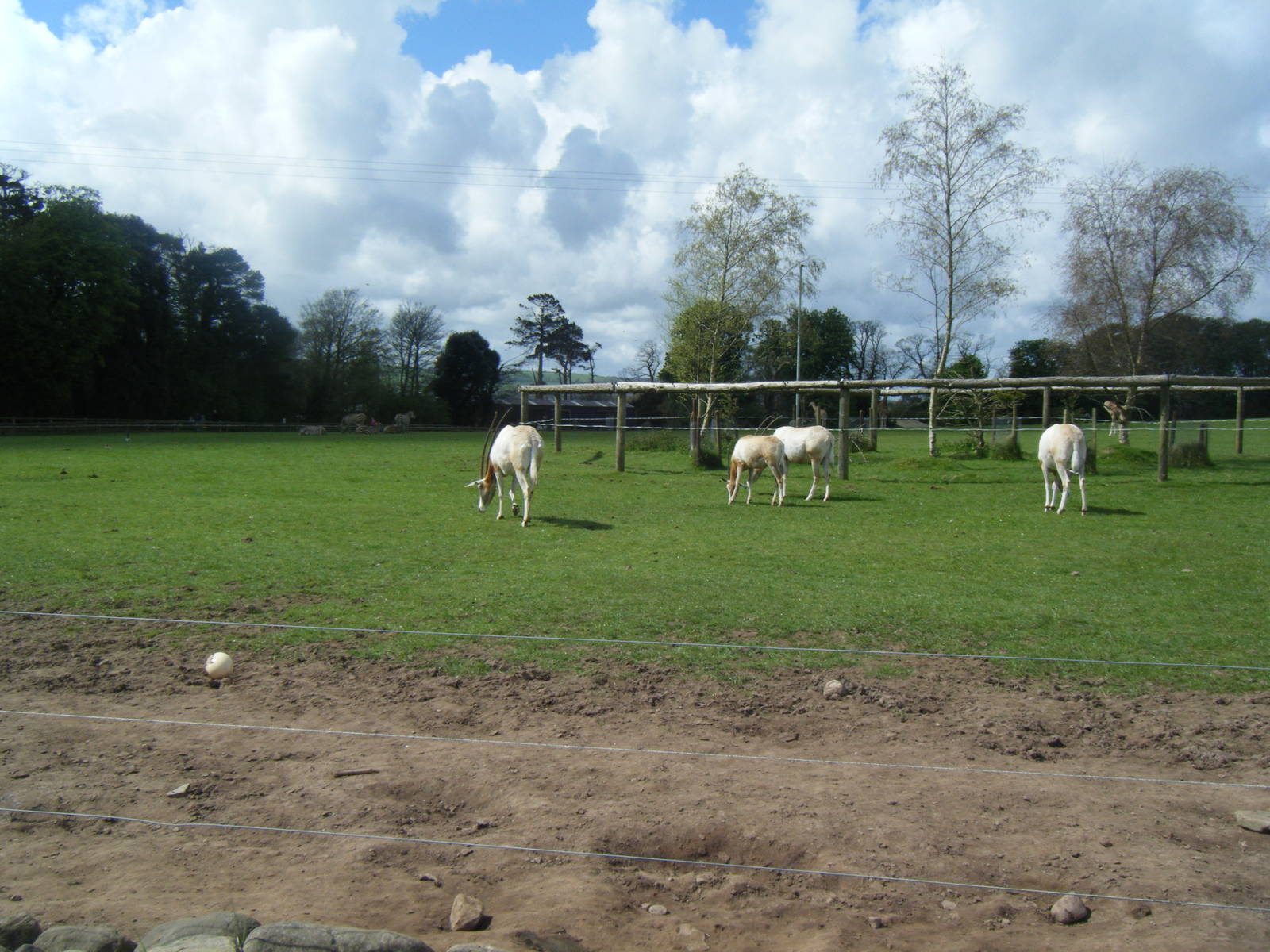 Fota Visit April2014