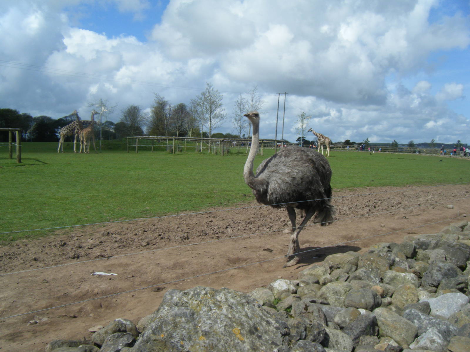 Fota Visit April2014
