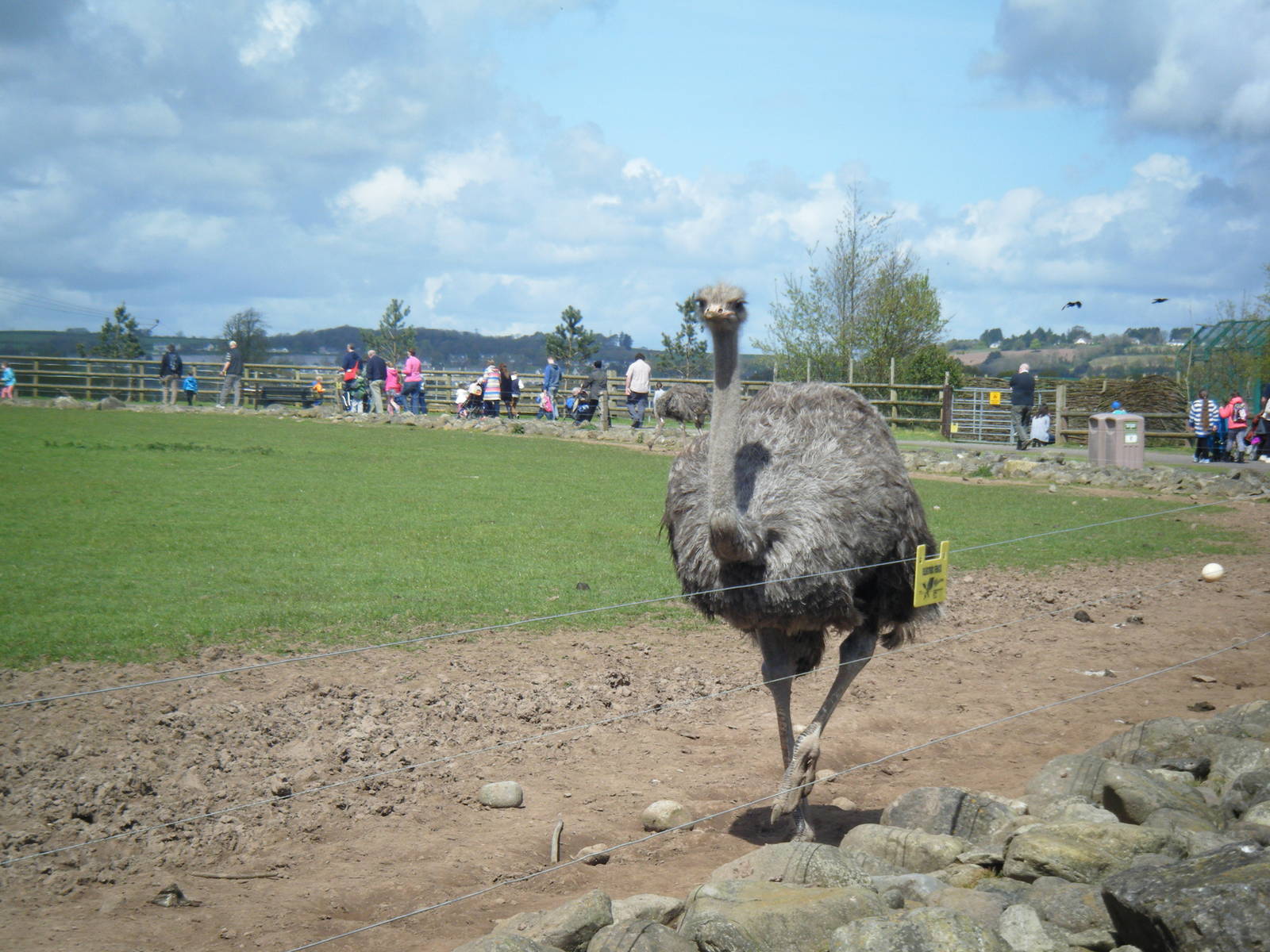 Fota Visit April2014