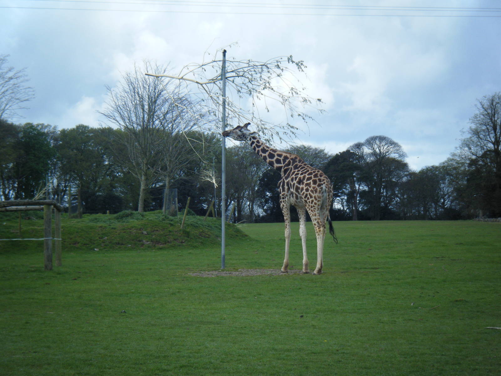 Fota Visit April2014