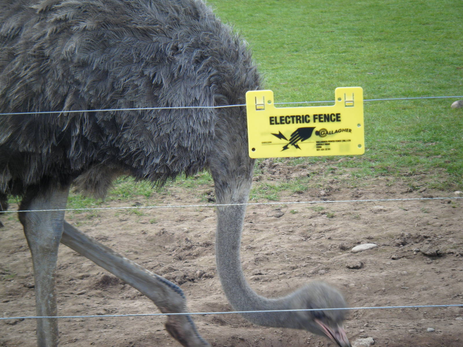 Fota Visit April2014