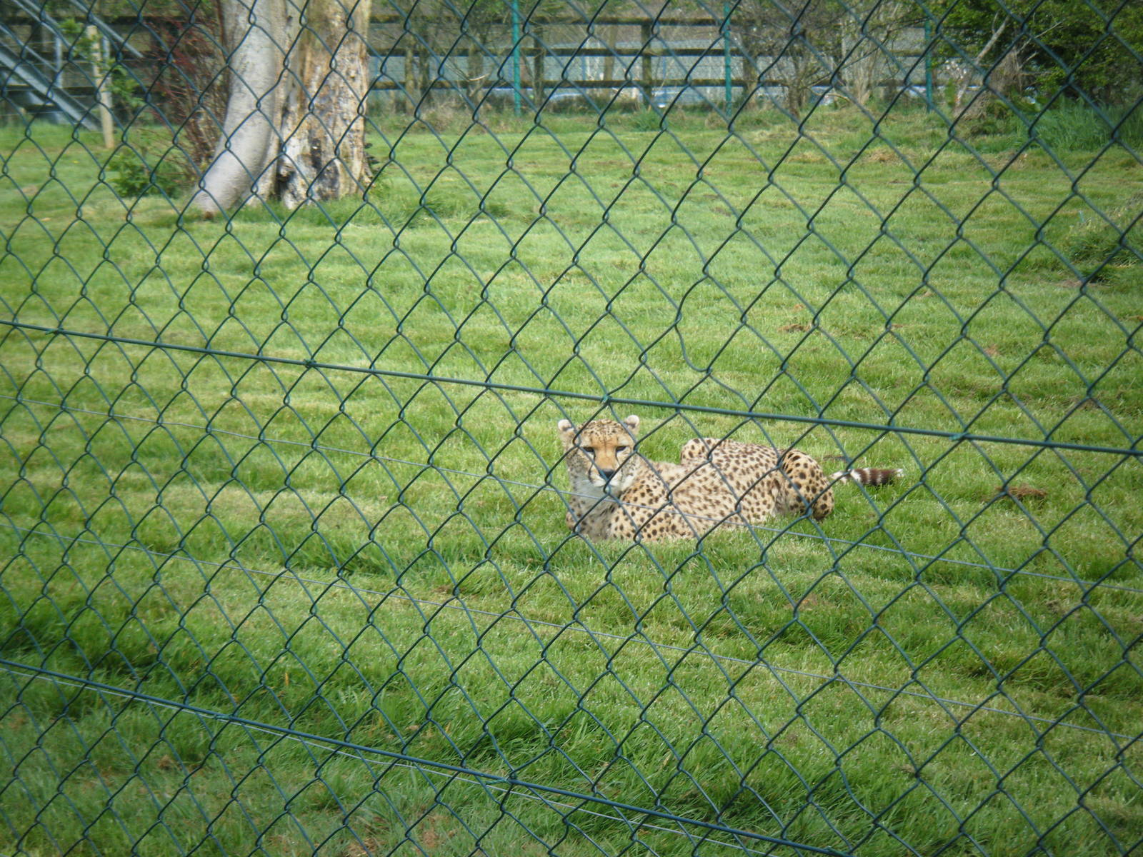 Fota Visit April2014