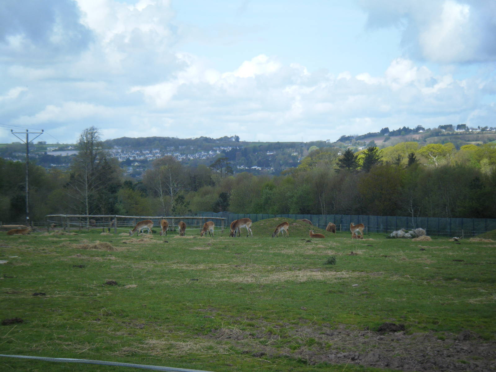 Fota Visit April2014