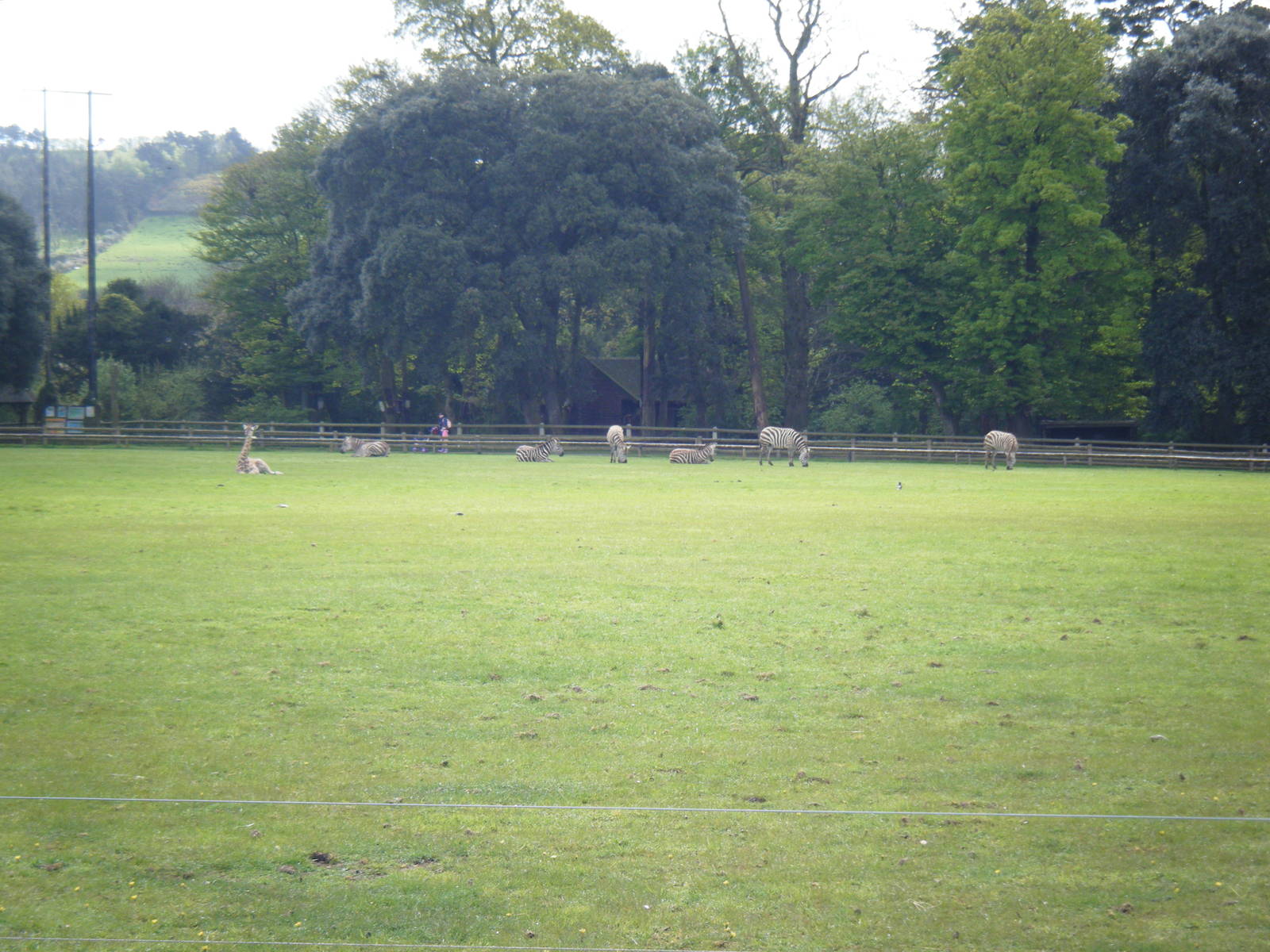 Fota Visit April2014