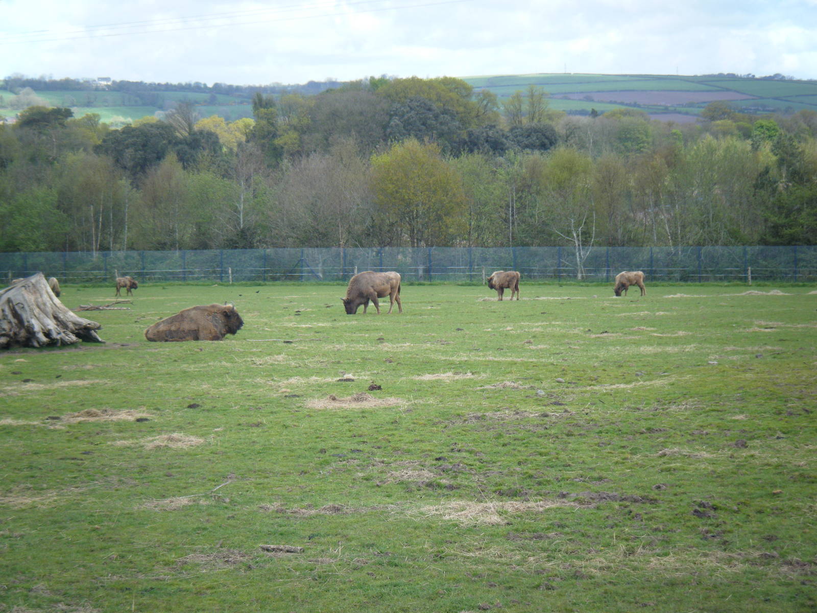 Fota Visit April2014