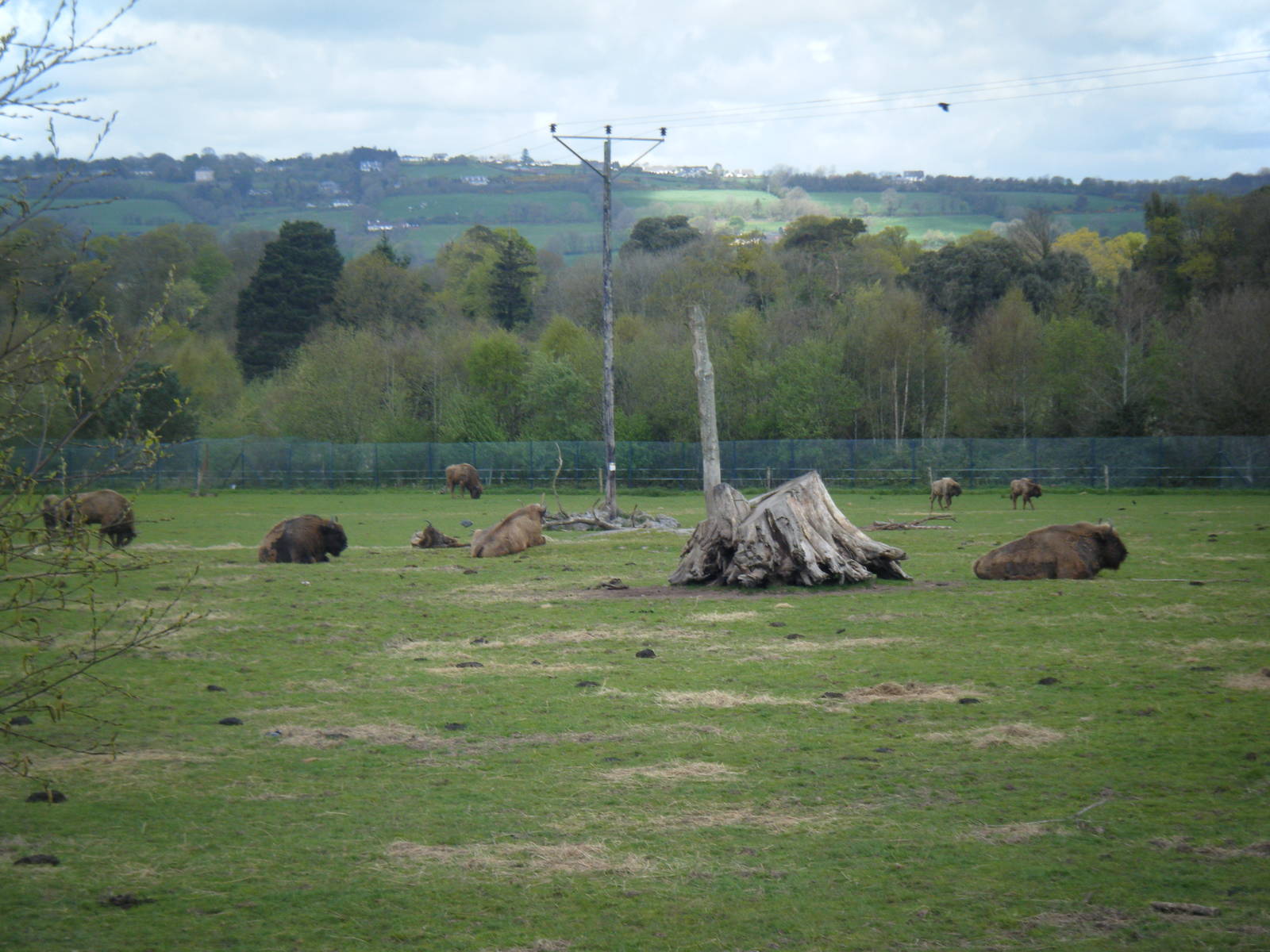 Fota Visit April2014