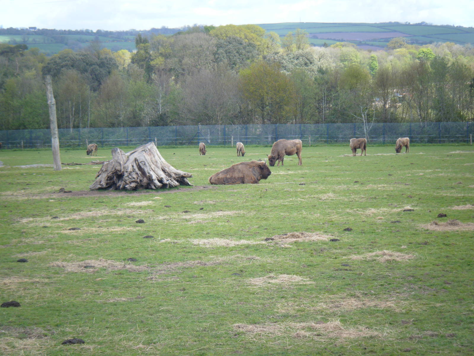 Fota Visit April2014