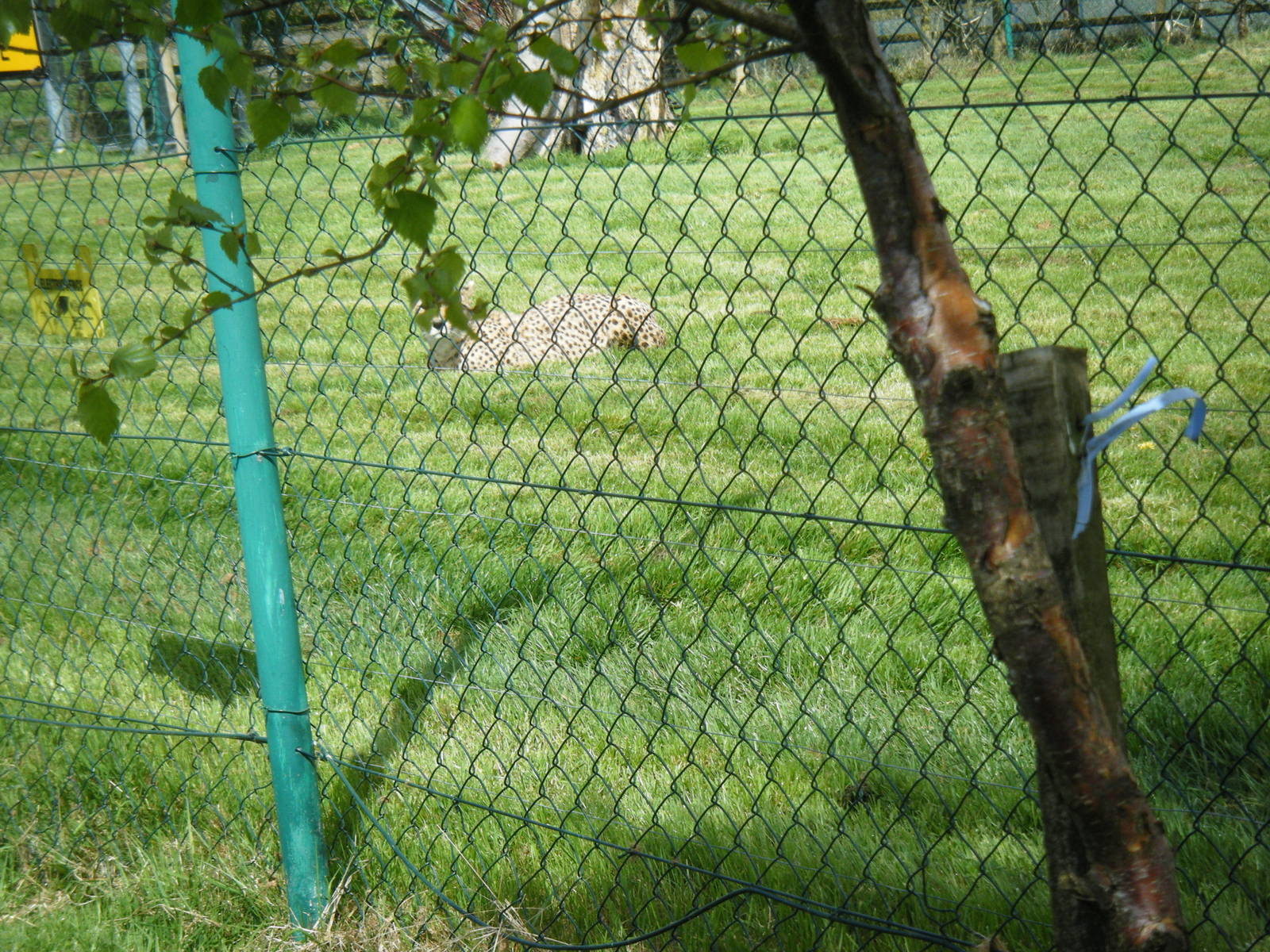 Fota Visit April2014