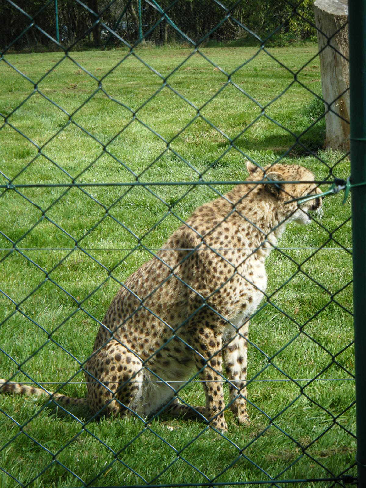 Fota Visit April2014