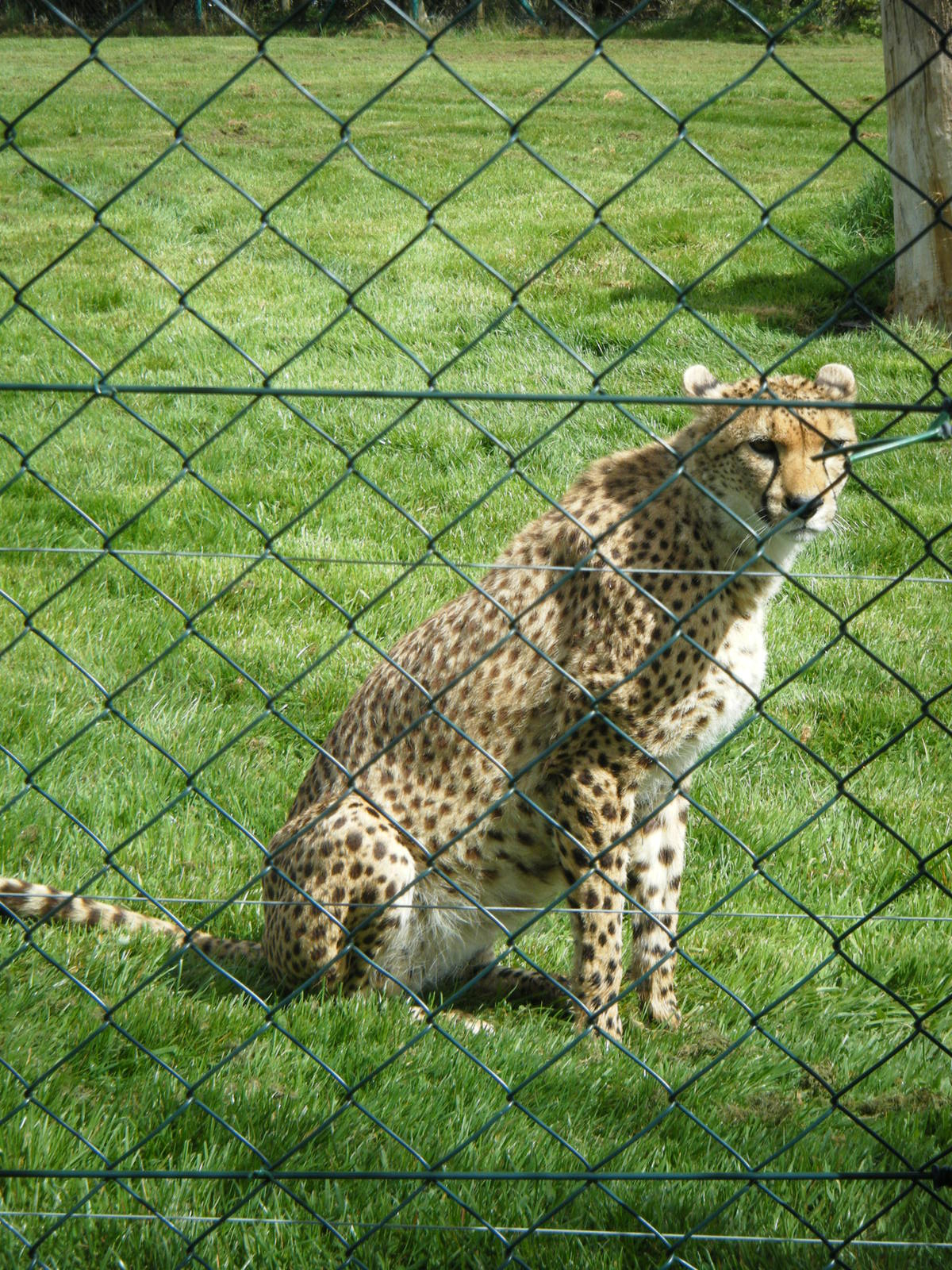 Fota Visit April2014