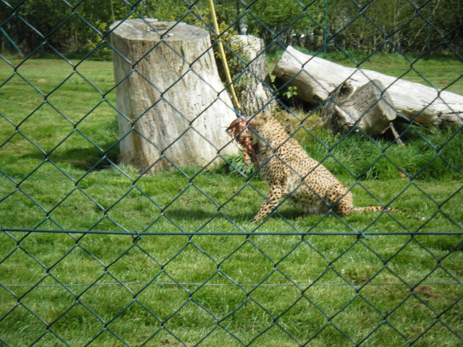 Fota Visit April2014