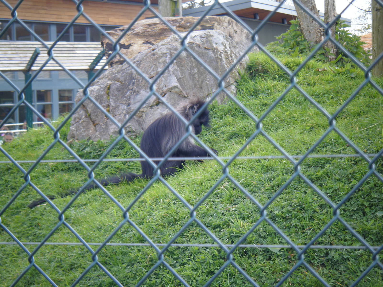 Fota Visit April2014