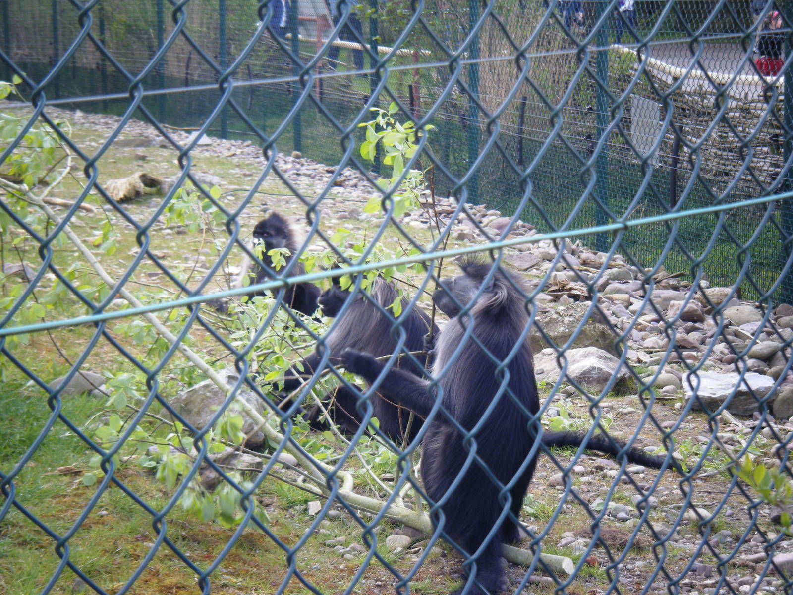 Fota Visit April2014