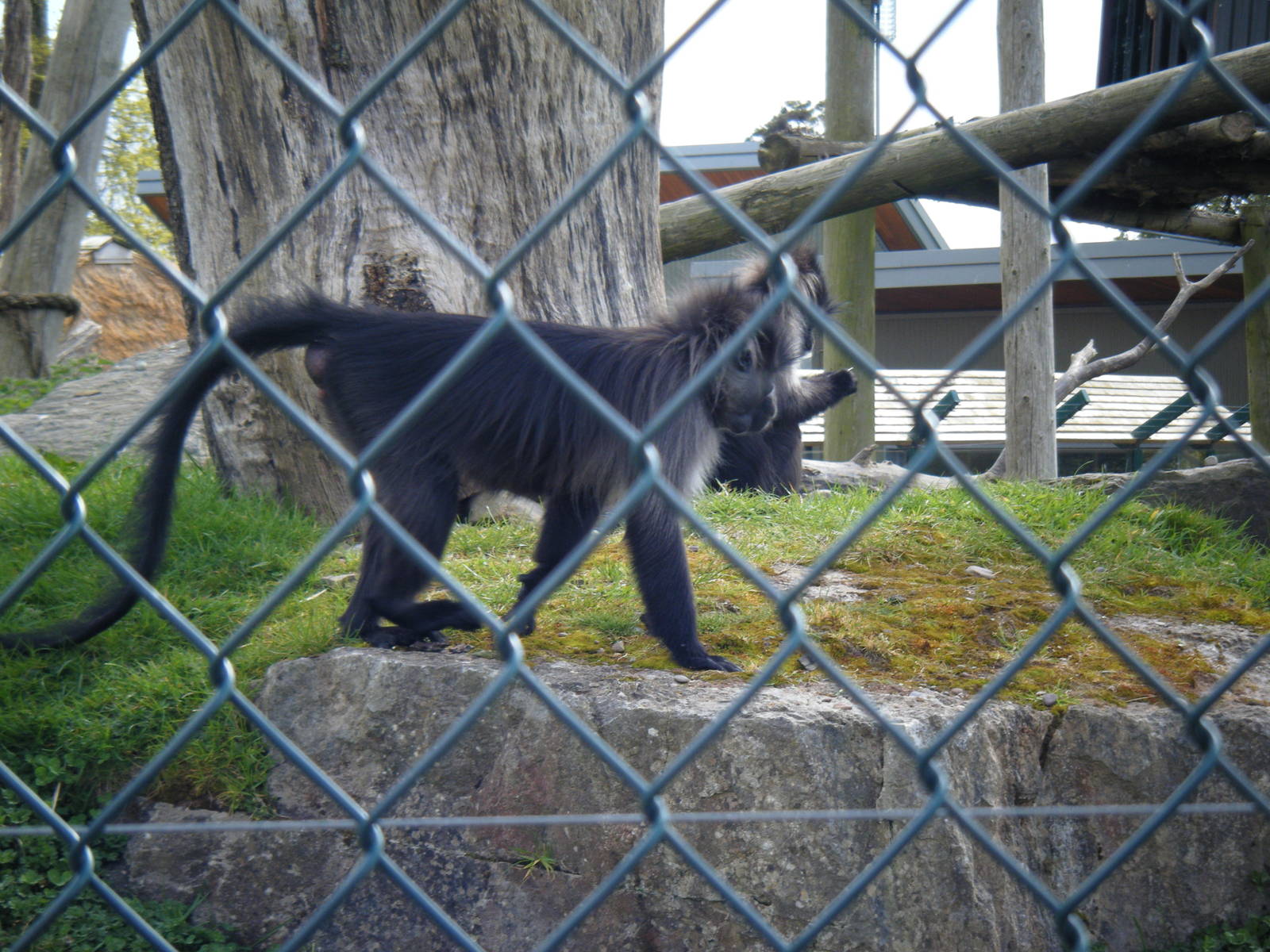Fota Visit April2014