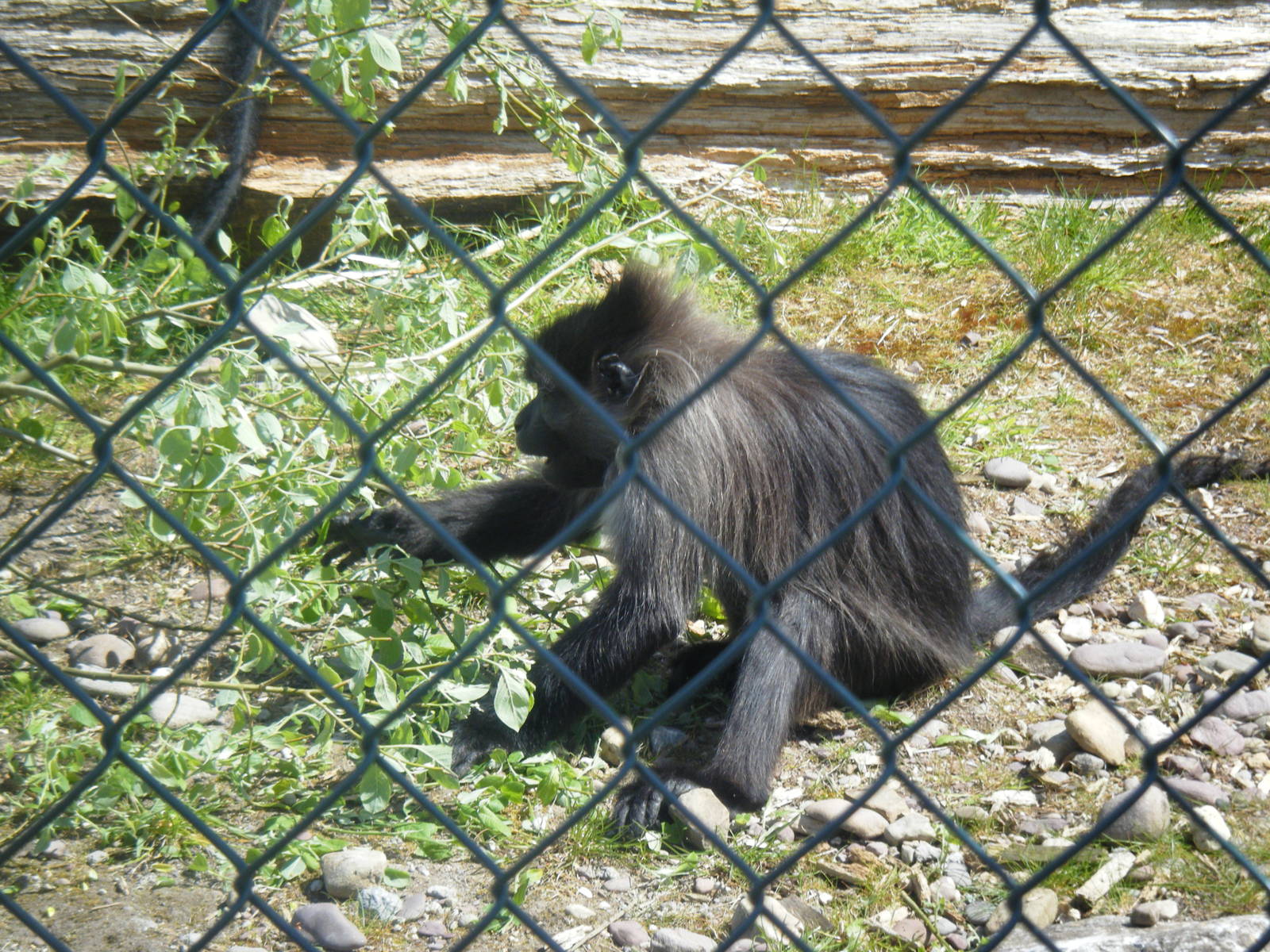 Fota Visit April2014