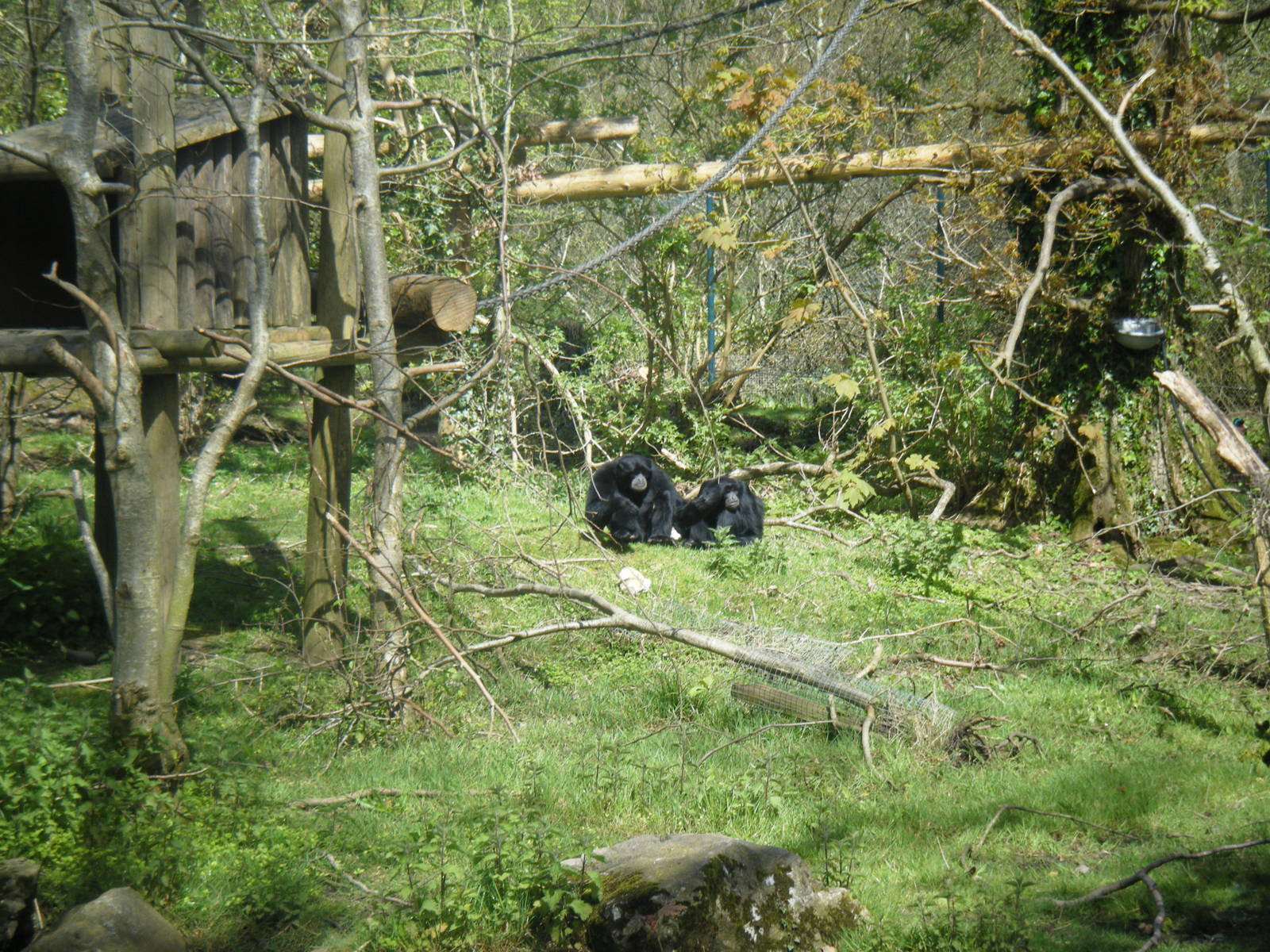 Fota Visit April2014