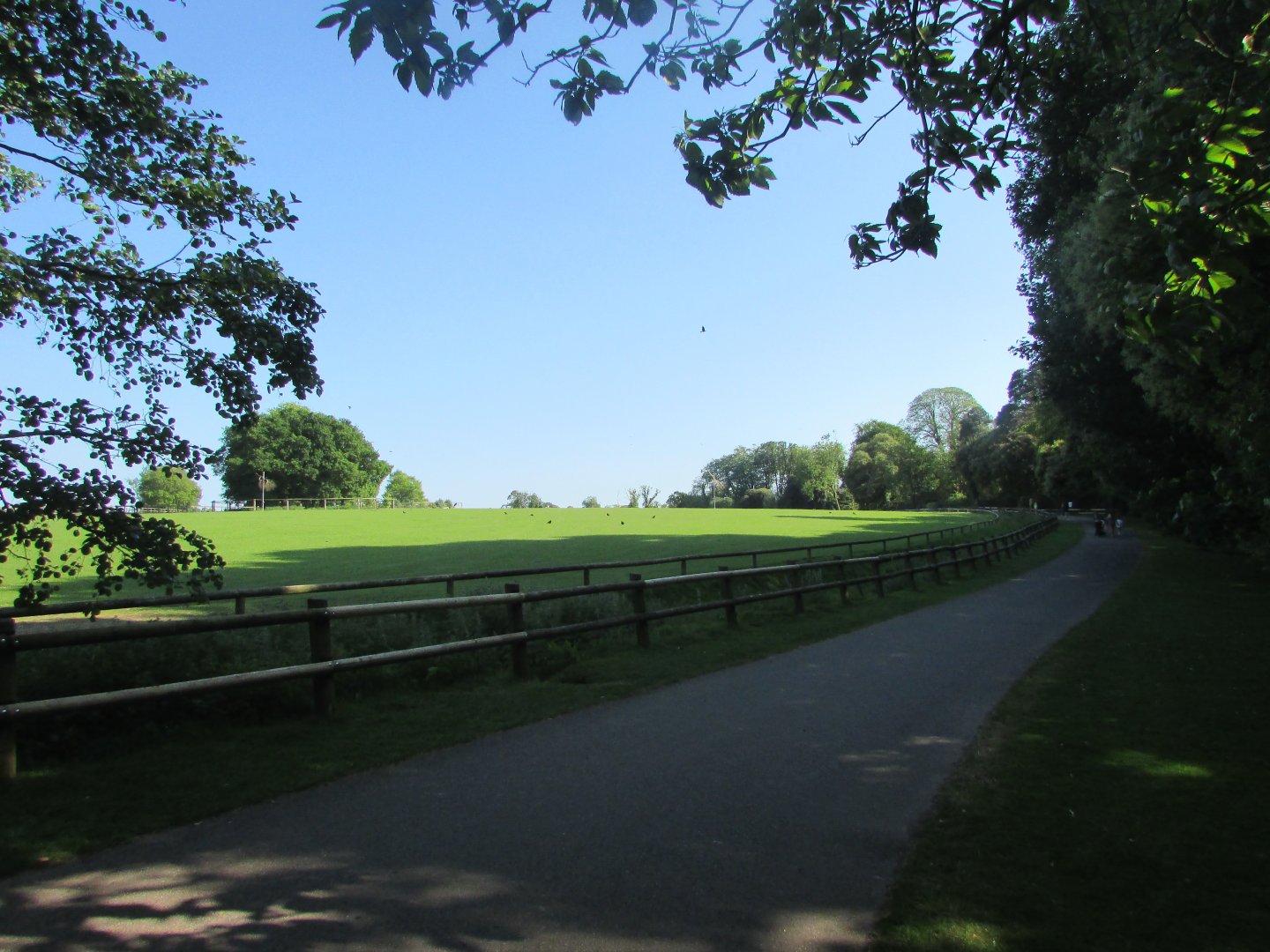 Fota Wildlife Park - African Savanna from the oryx barn