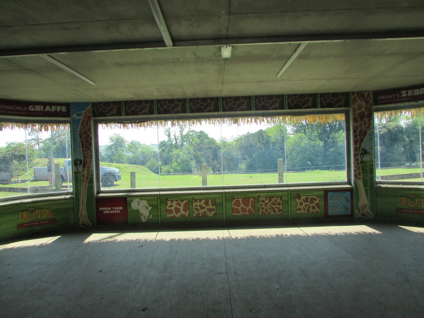 Fota Wildlife Park - African savanna viewing pane