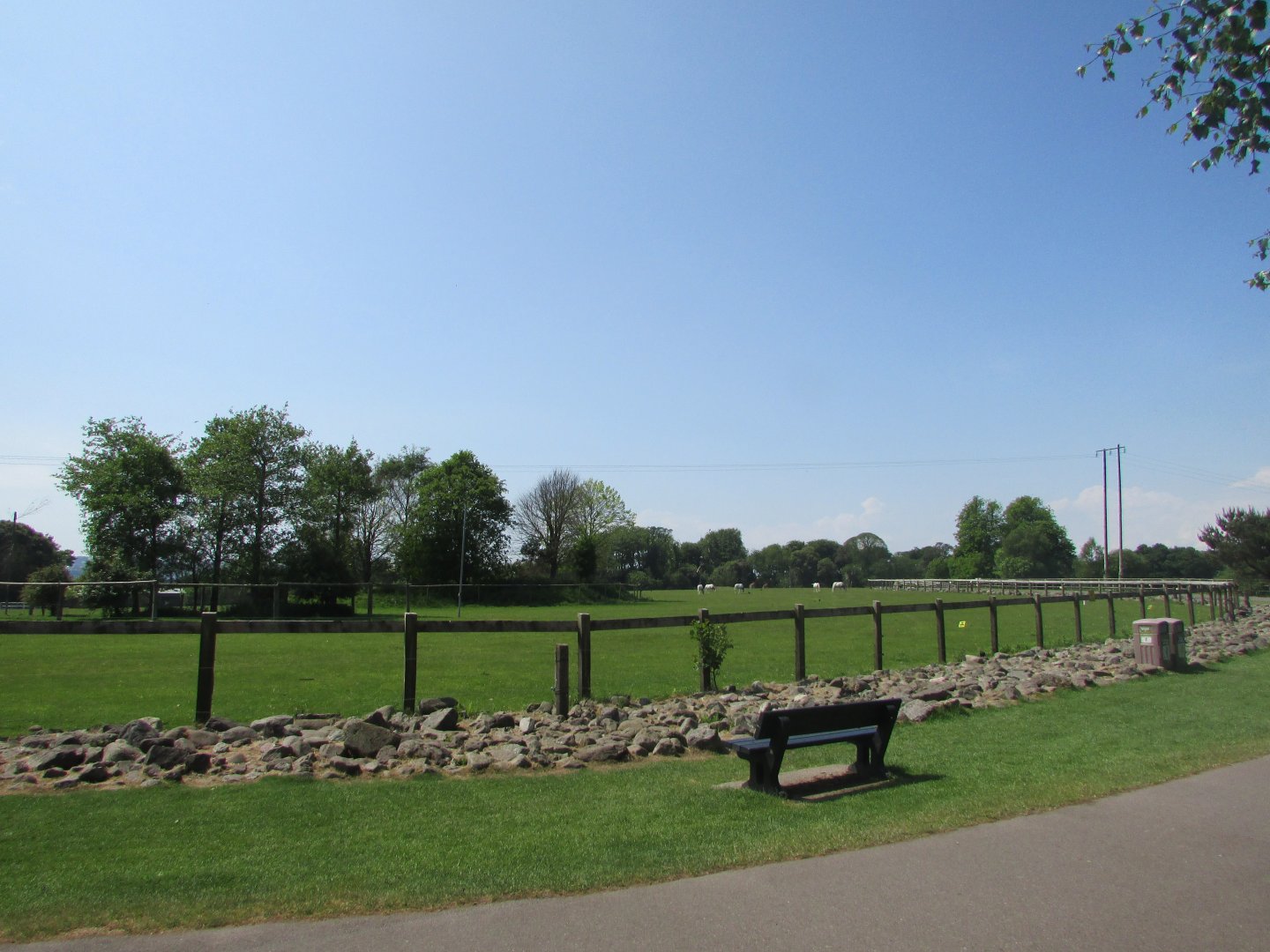 Fota Wildlife Park - African savanna