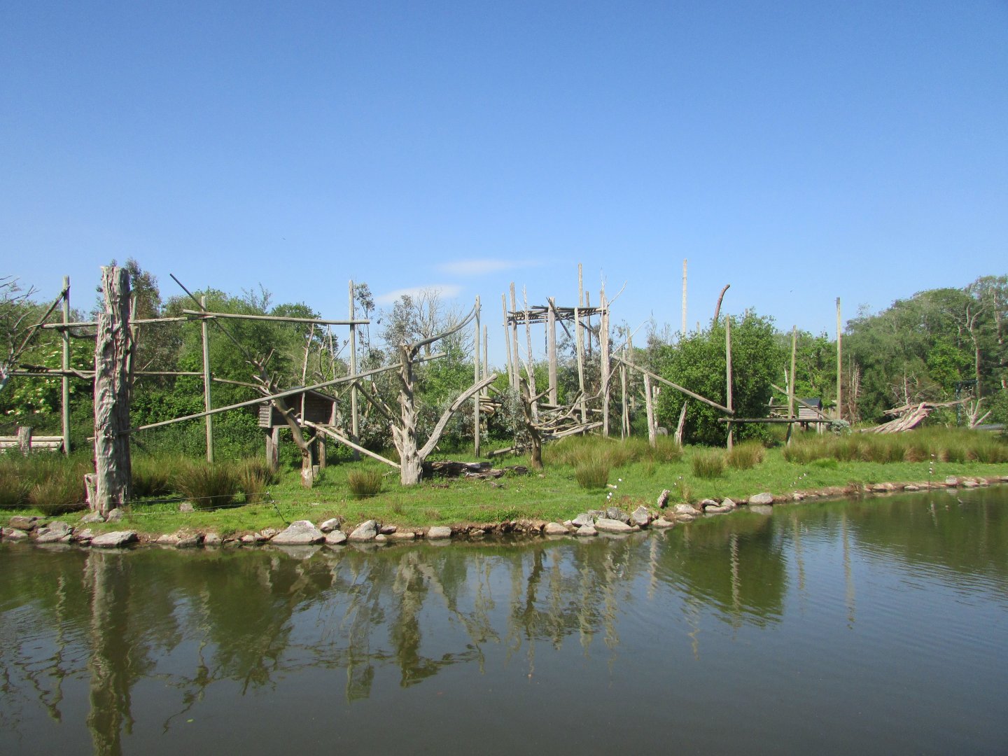 Fota Wildlife Park - Drill exhibit