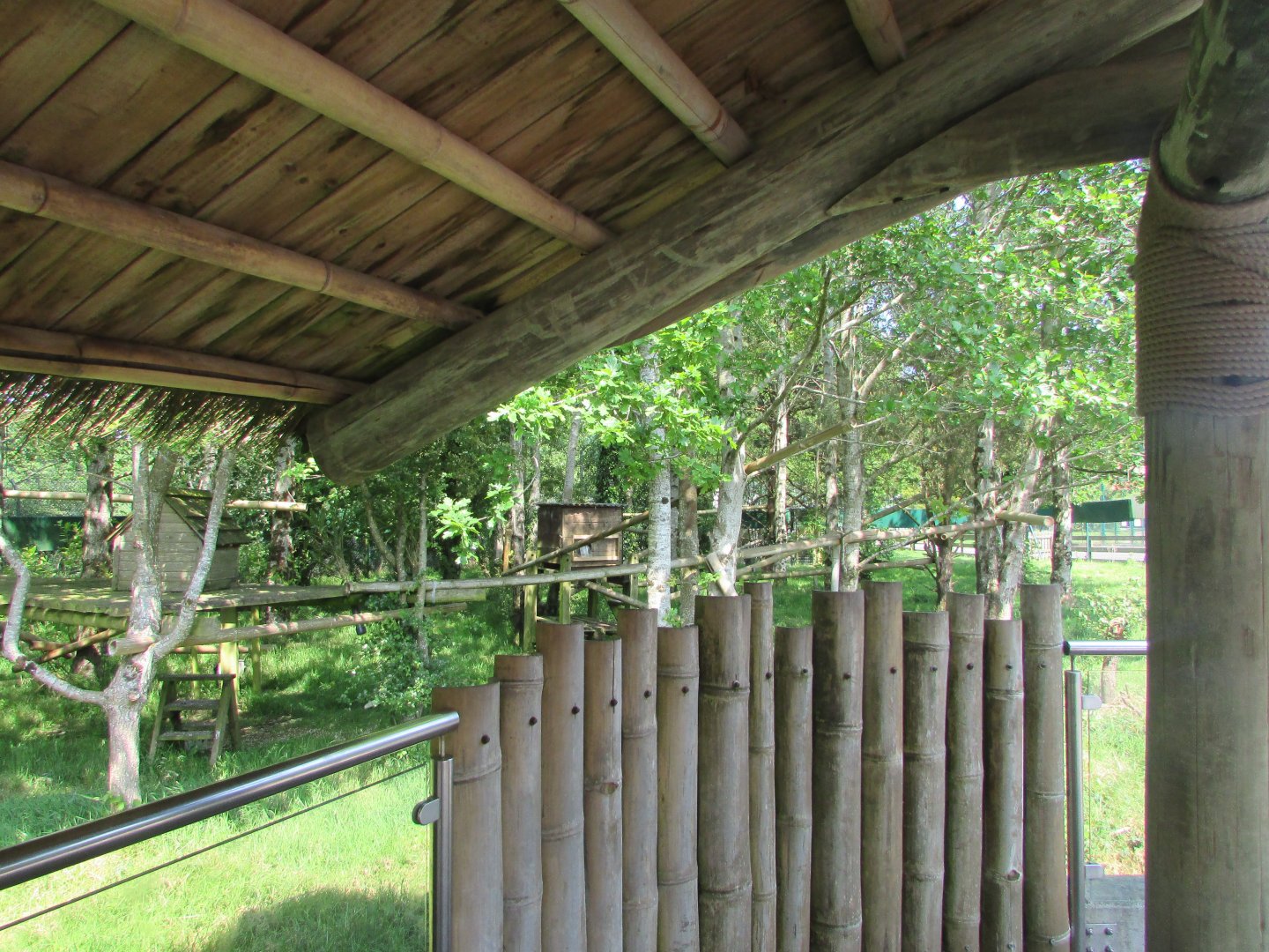 Fota Wildlife Park - First red panda exhibit