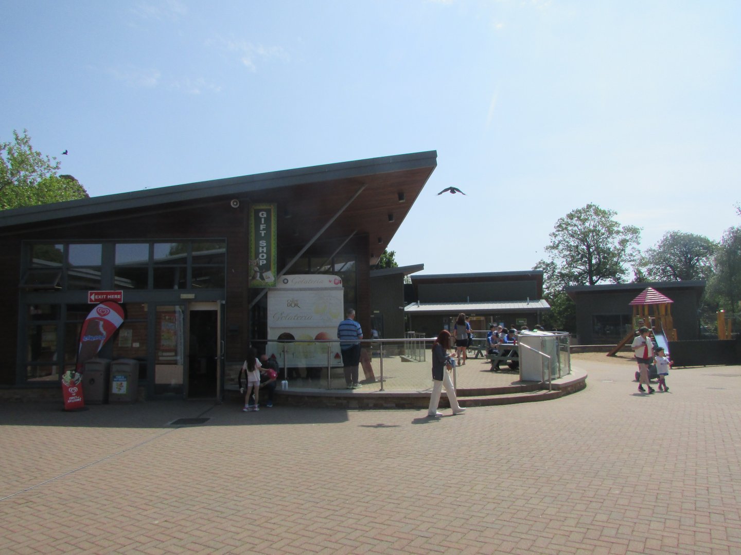 Fota Wildlife Park - Gift shop