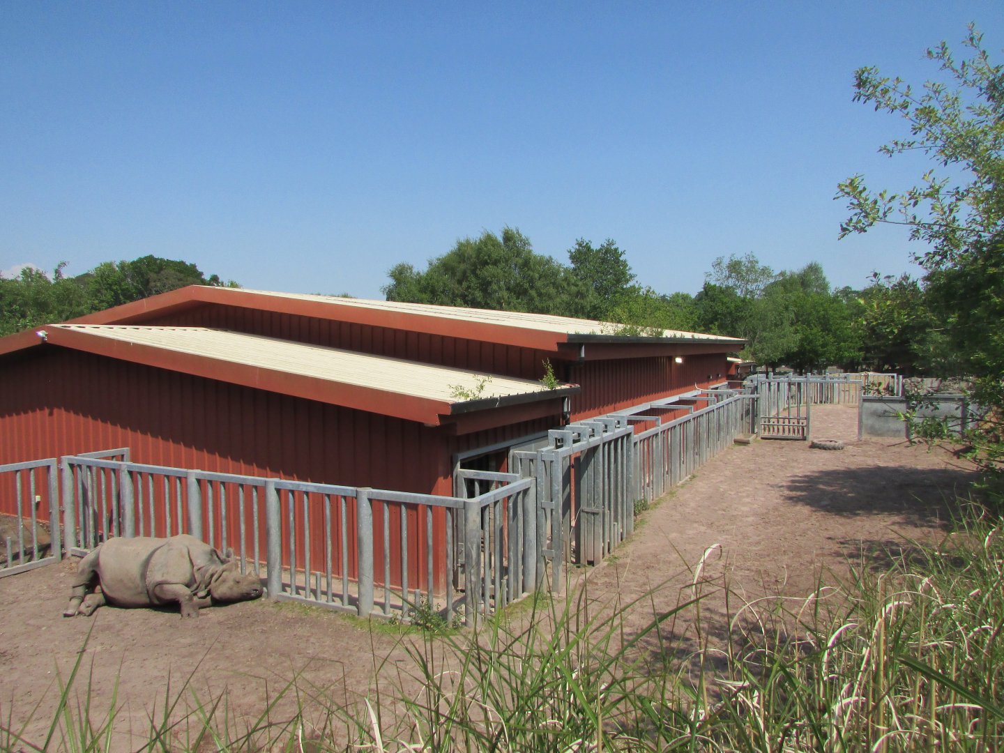 Fota Wildlife Park - Indian rhinoceros shelter