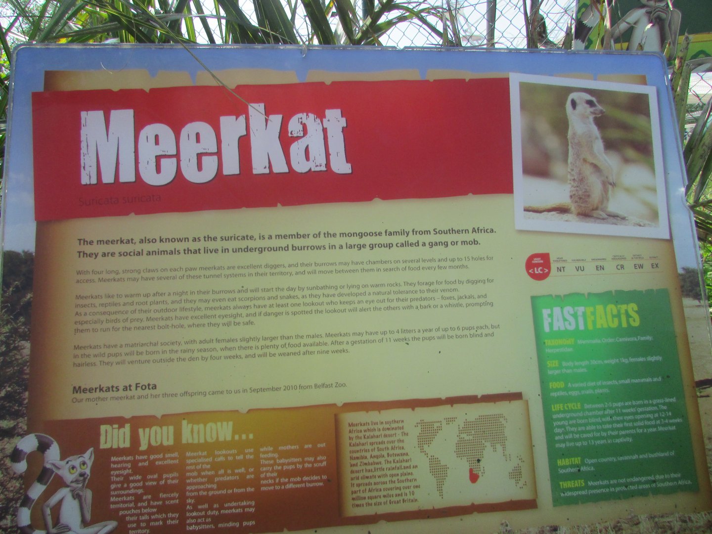 Fota Wildlife Park - Informative sign