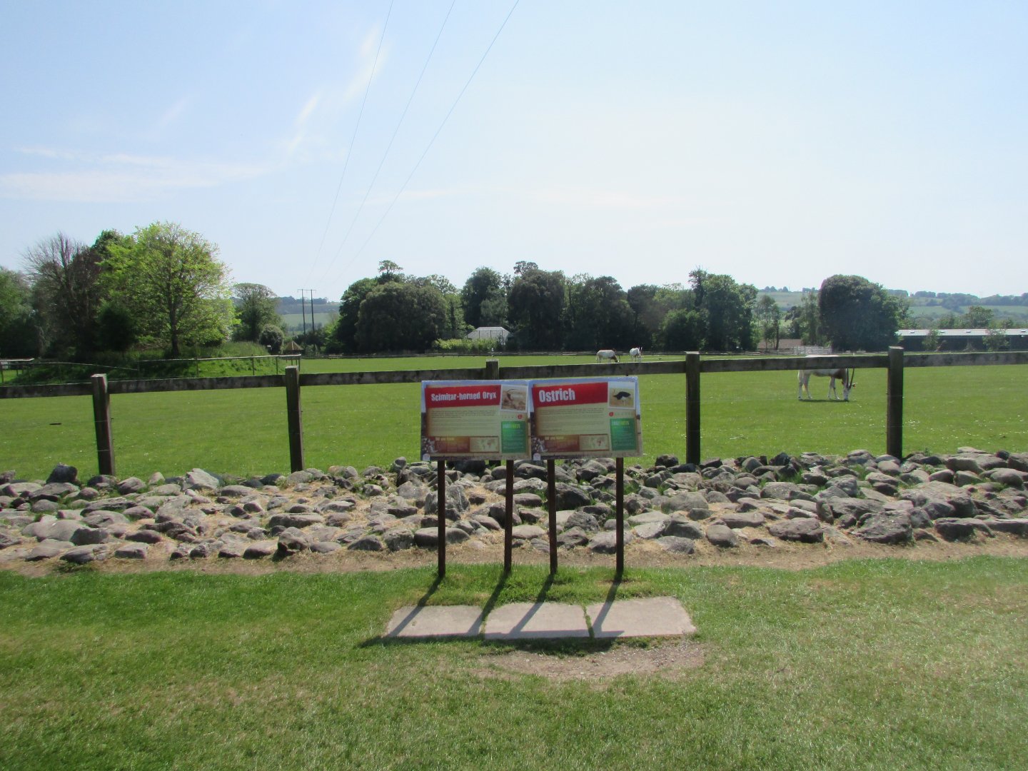 Fota Wildlife Park - Informative signage