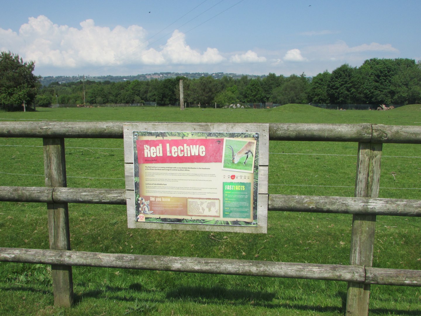 Fota Wildlife Park - Informative signage